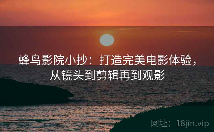 蜂鸟影院小抄:打造完美电影体验,从镜头到剪辑再到观影