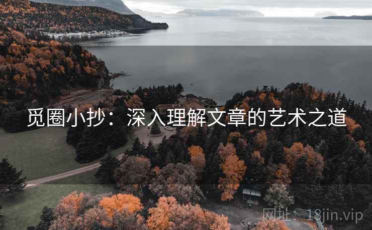 觅圈小抄:深入理解文章的艺术之道