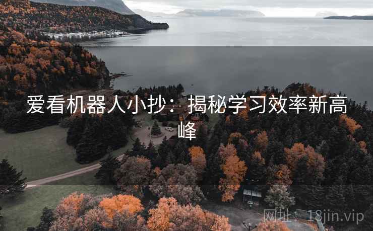 爱看机器人小抄：揭秘学习效率新高峰