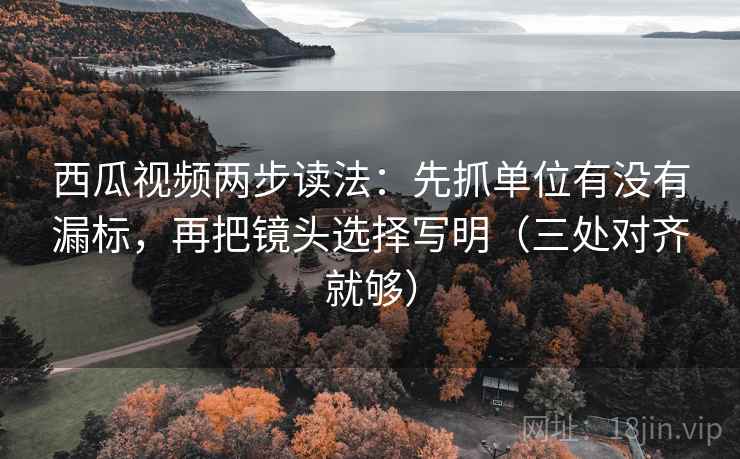 西瓜视频两步读法:先抓单位有没有漏标,再把镜头选择写明(三处对齐就够)